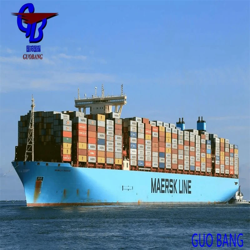 Sea Freight From Shenzhen, China to USA