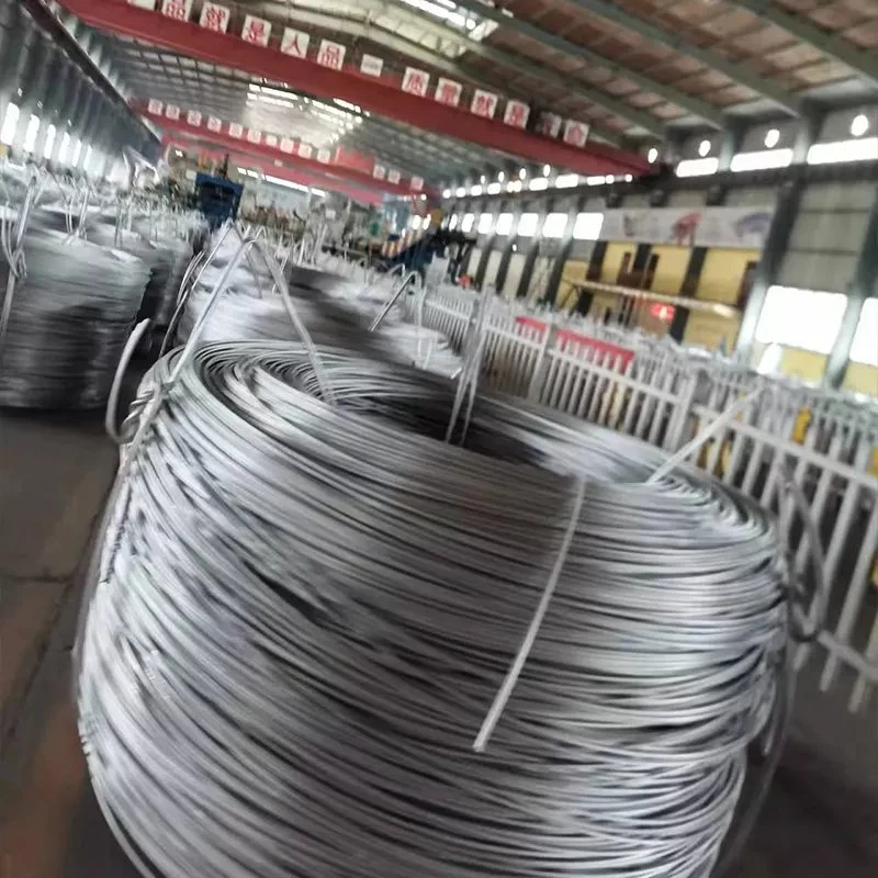 2mm 0.8mm 2.3mm 0.1mm Galvanized Steel Wire High Carbon Galvanized Spring Steel Wire