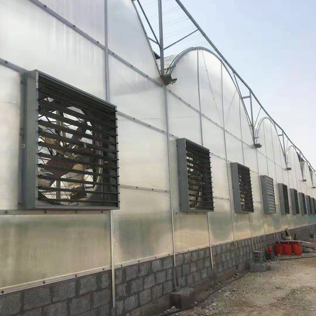 2023 China Supply Agricultural Polycarbonate Greenhouse for Middle East Countries