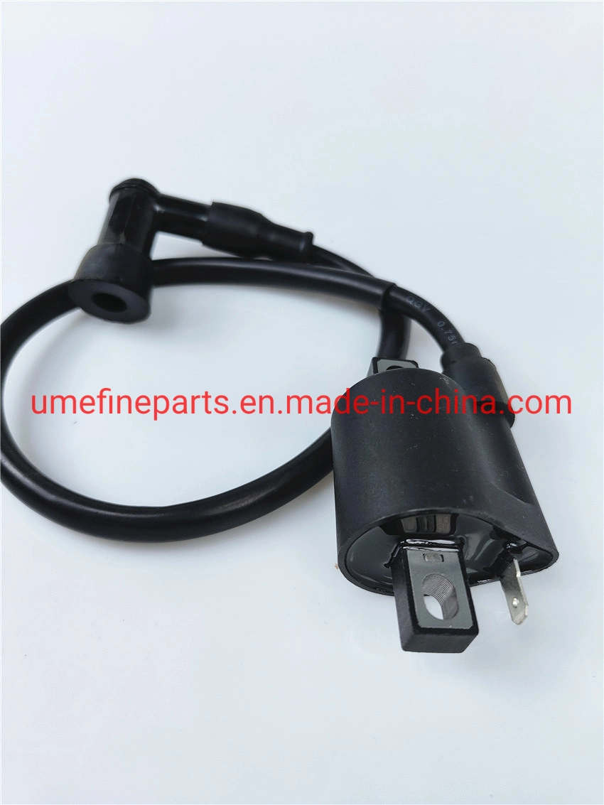 High quality/High cost performance 125cc Motorcycle Spare Parts Motorcycle Ignition Coil for Cg125