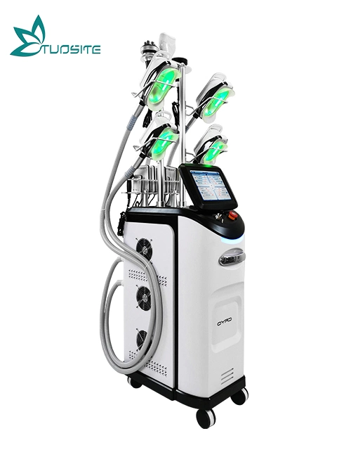 Machine de beauté de sculpture corporelle par cryolipolyse à 360 degrés pour congélation des graisses.