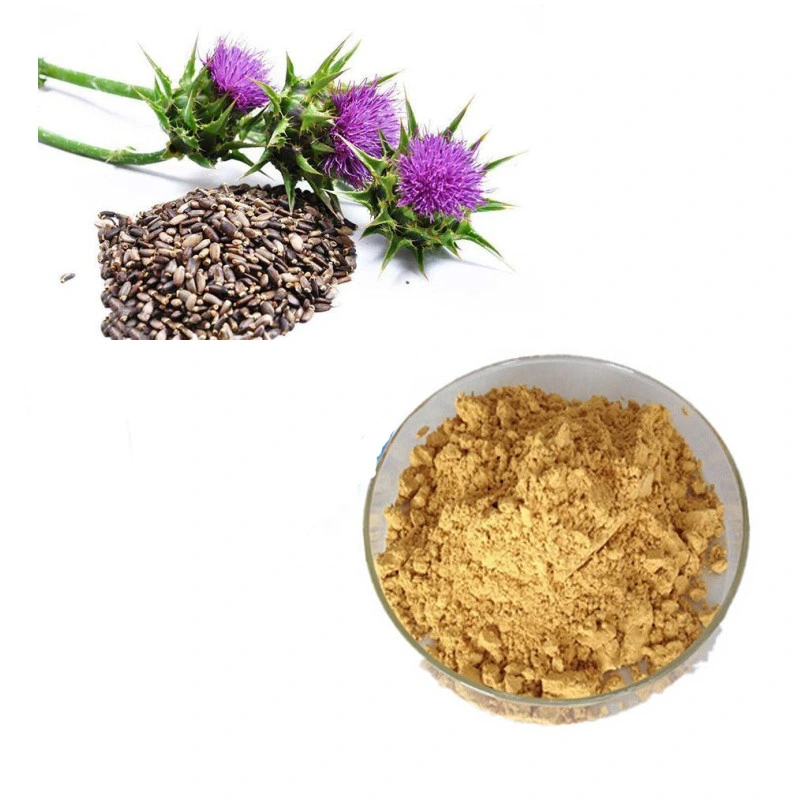 Best Milk Thistle Extract Silybum Marianum Extract CAS No. 84604-20-6