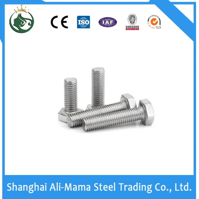 High Strength Bolt Stainless Steel Nut Grade 4.8/8.8/10.9/12.9