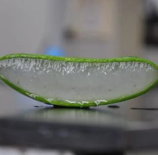 Aloe Vera Peeler/ Peeling Machine