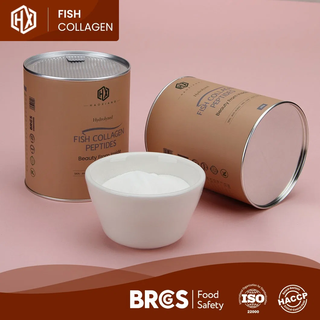 Haoxiang Fish Collagen Pure Hydrolyzed Deep Sea Fish Scale Collagen Powder Enzymatic Hydrolysis Technology Process Hydrolyzed Fish Collagen Powder Manufacturer