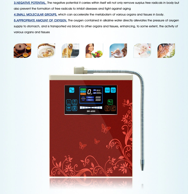 7 Platinbeschichtete Titanplatten Alkaline Water Ionizer Bw-6000