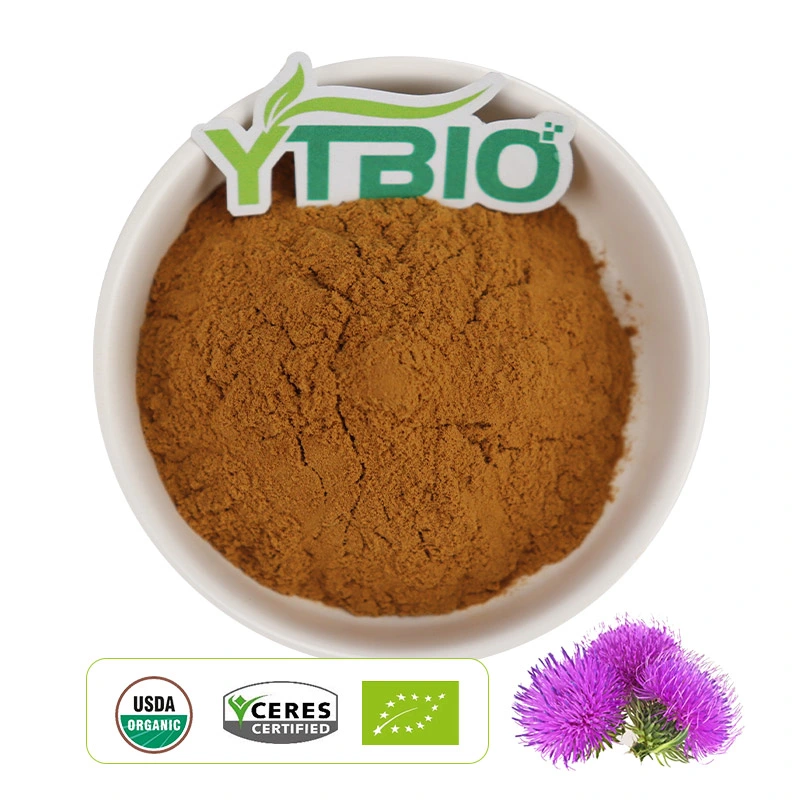 Leche semilla de Thistle Extracto seco polvo Silymarin UV 80% planta Extracto de Silymarin polvo