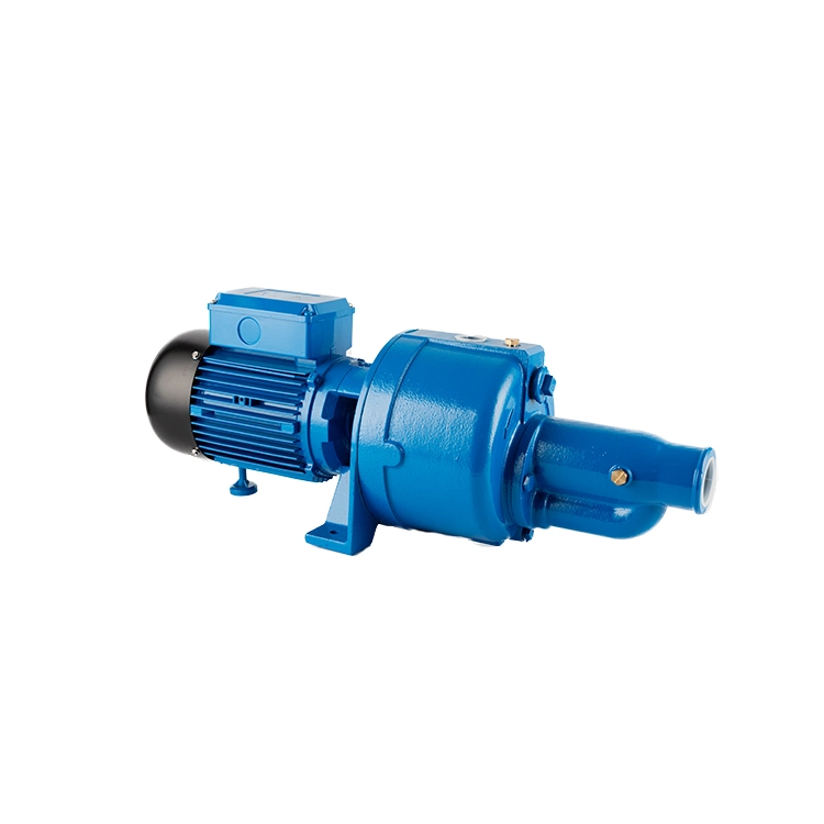 Cab Series Self Priming Deep Well Pumps 1.5HP 3HP Pump