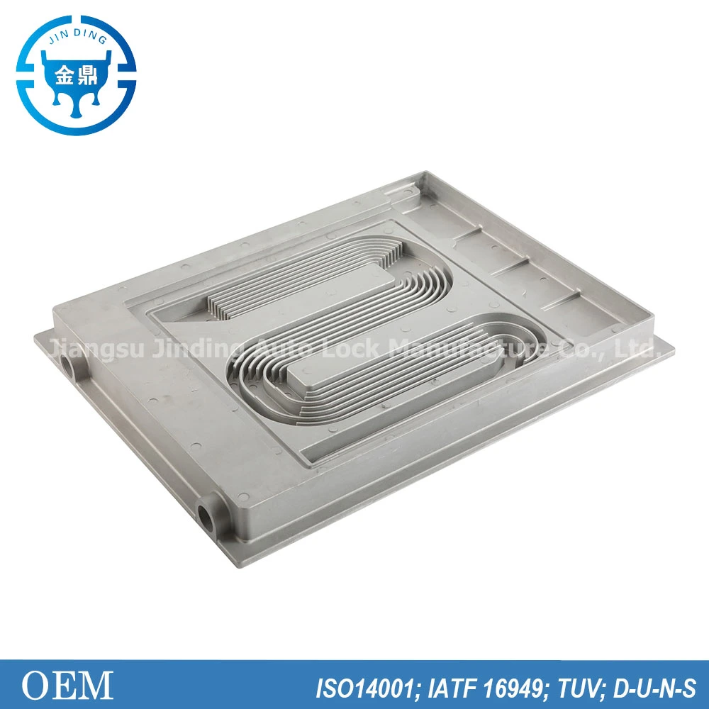 Custom-Made Medical Instrument Parts/Household Appliance Parts/Auto Parts Aluminum High Pressure Die Mold