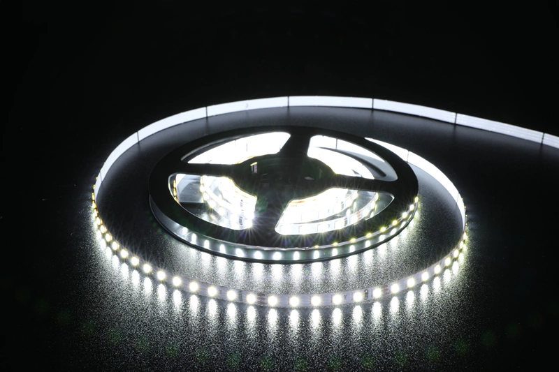 High Bright 2835 LED Strip 24V 12V Custom Tunable White CCT 2700~6500K LED Strip Light