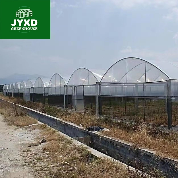 Modern Agriculture Plastic Film Multi-Span Greenhouse for Vegetables/Fruits/Flowers/Tomato