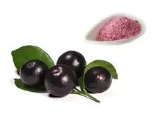 Bio Natürliche Acai Berry Frucht Reine Acai Berry Extrakt Pulver Anthocyanidine Konzentrat Saft Pulver