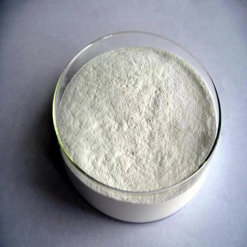 Large-Scale Supplier High Quality Daily Chemical Grade Hydroxypropyl Methyl Cellulose Thickener Stabilizer HPMC