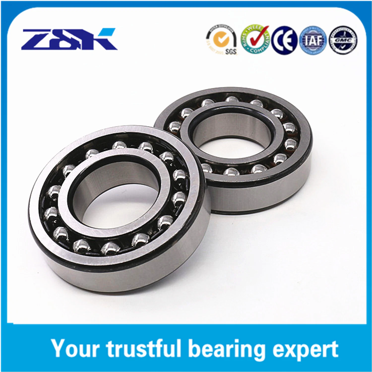 Electric Scooter Parts Tatra Spare Parts Sprag Clutch Bearing