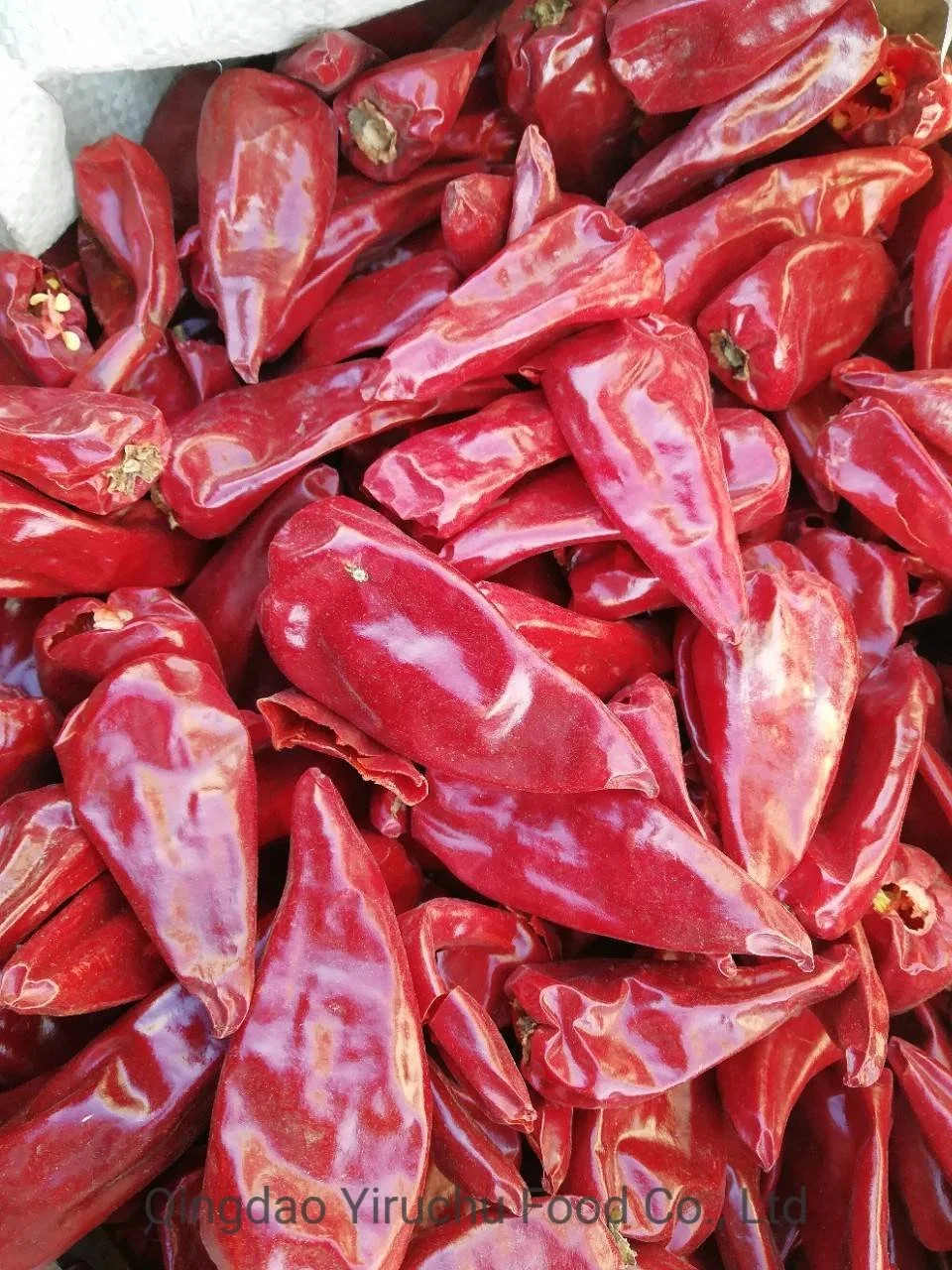 China Paprika Chilli Factory Supply Dried Chili Peppers