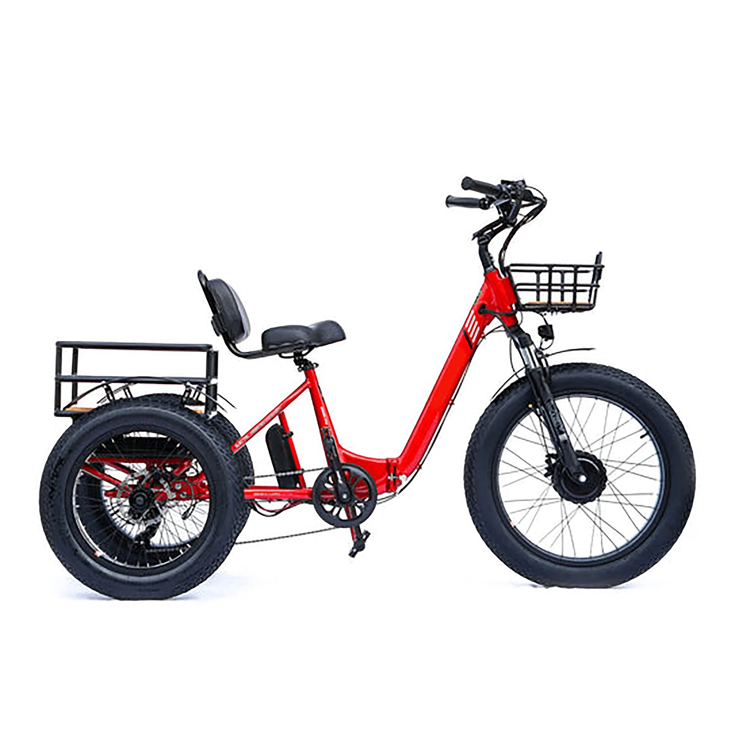 OEM ODM 20 Inch Rear Drive Cargo Electric Tricycle 3 Wheel Electric Lithium Battery E Trike