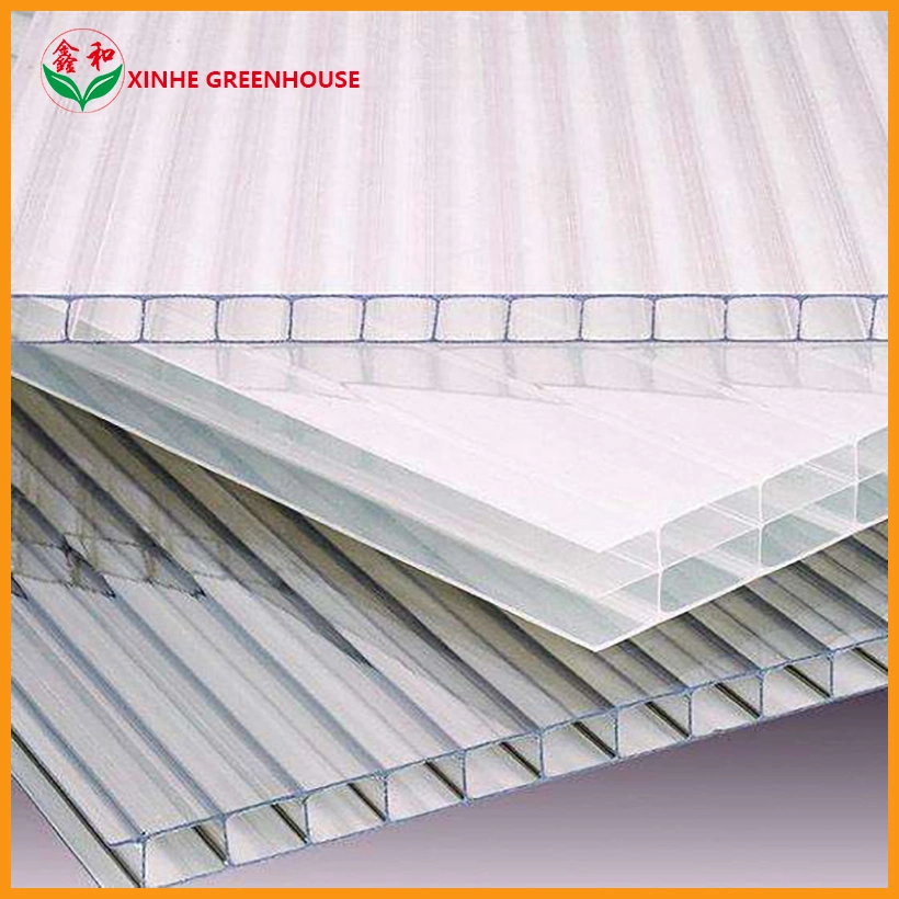 Galvanized Steel Structure PC Sheet Cover Used Commercial Greenhouses