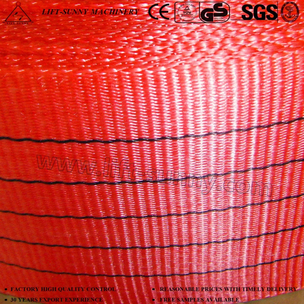 En1492 5t Polyester Webbing Lifting Sling for Lashing and Lifting