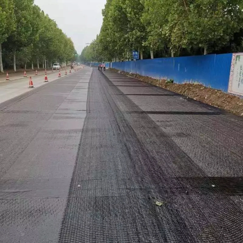 Chuangwan Rendimiento de alta calidad/alto costo Nuevo Marerial Fibreglass Geogrid Fabricante