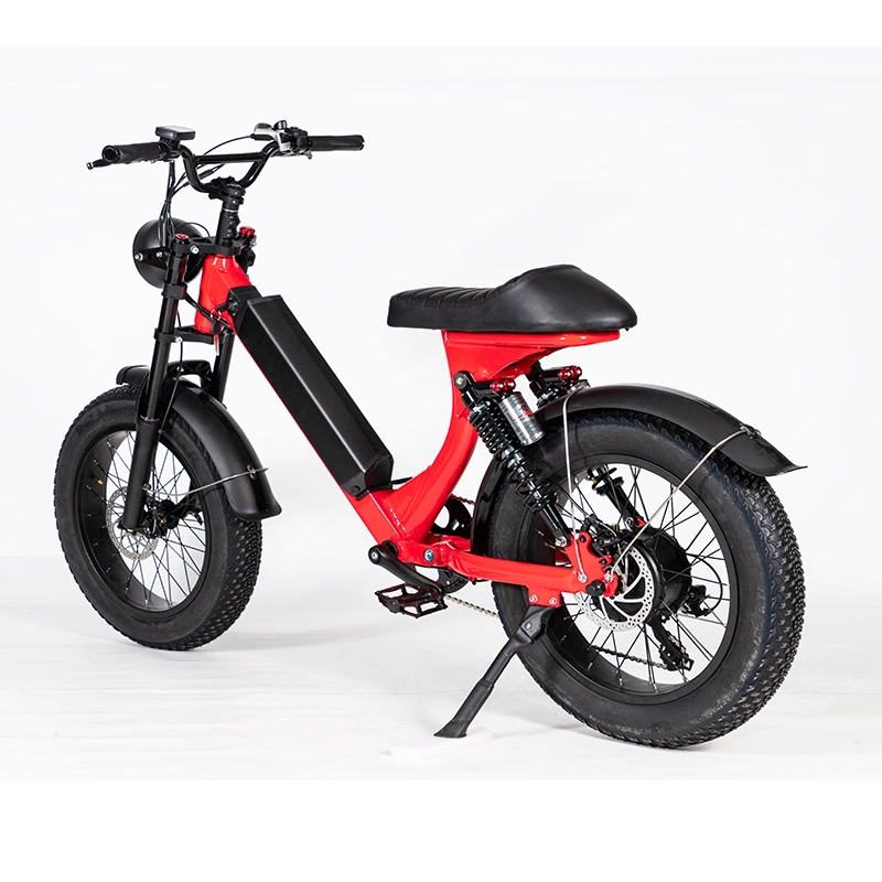 Leo Adopts CE Certified Electric Bike with Fat Tires Customized for Men and Women