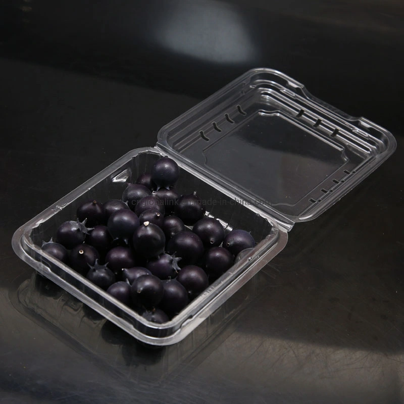 125 Grams Blueberry Clamshells Plastic Pet Fruit Packaging Clamshells Blister