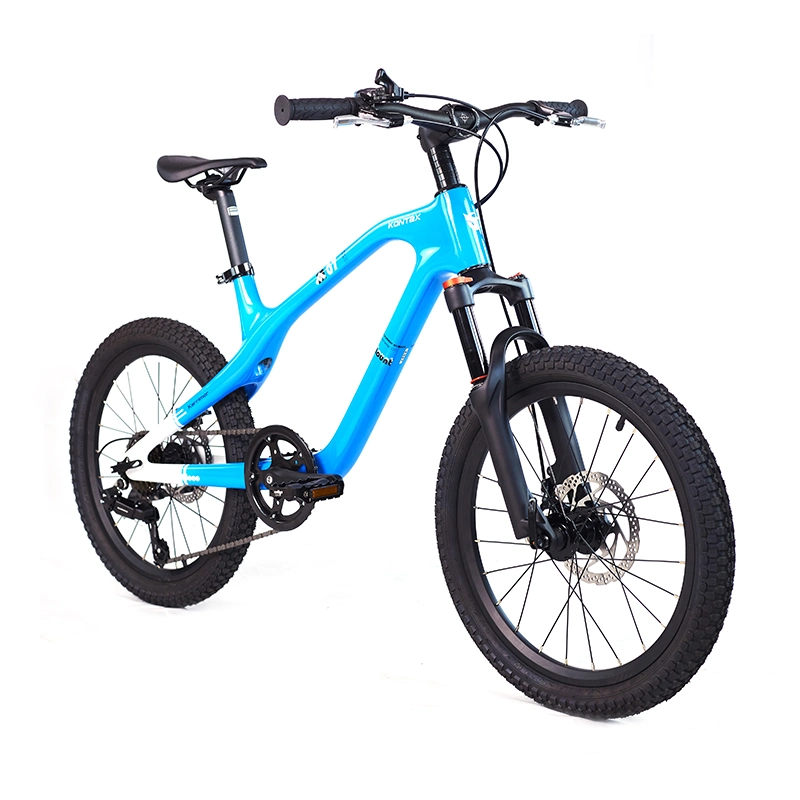 Original Factory Cheap Price Wholesale/Supplier 20 Inch Mountain Bike for Adult Road 7 Speed Alloy Frame Electric Bicycle MTB Disc Brake Solid Tire Pneumatic Tyre Kids