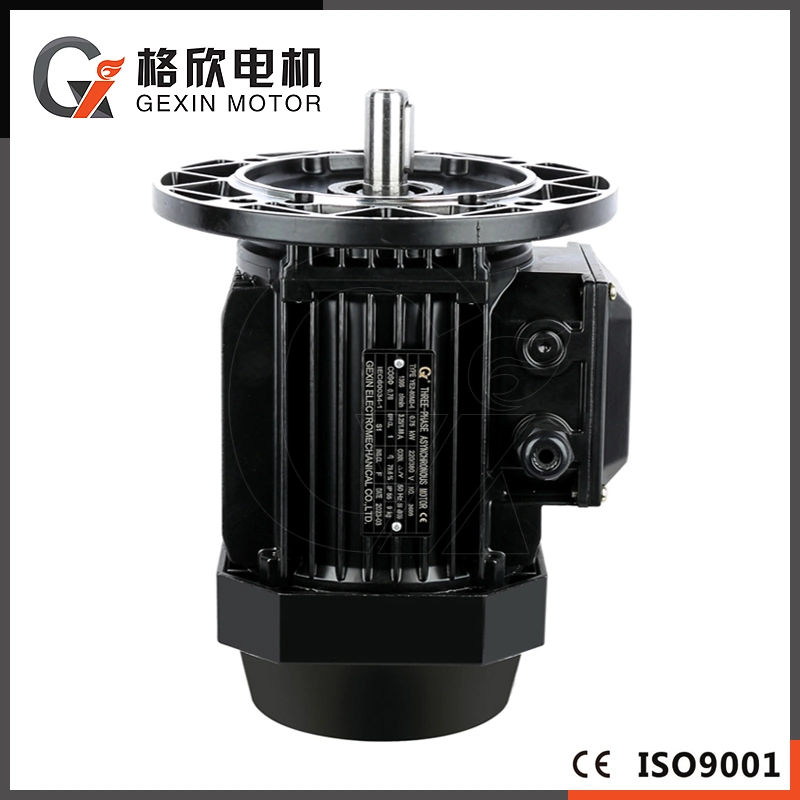 250W Ms Series High Efficiency Three Phase Asynchronous with Aluminium Housing Electrical Motor Price