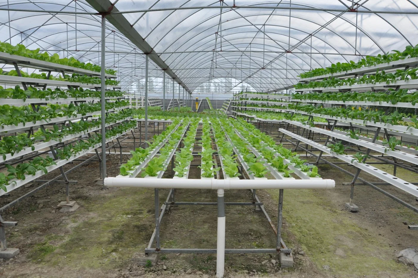 Popular Hydroponic Vegetable Growing System Indoor Greenhouse Cultivation Pipe