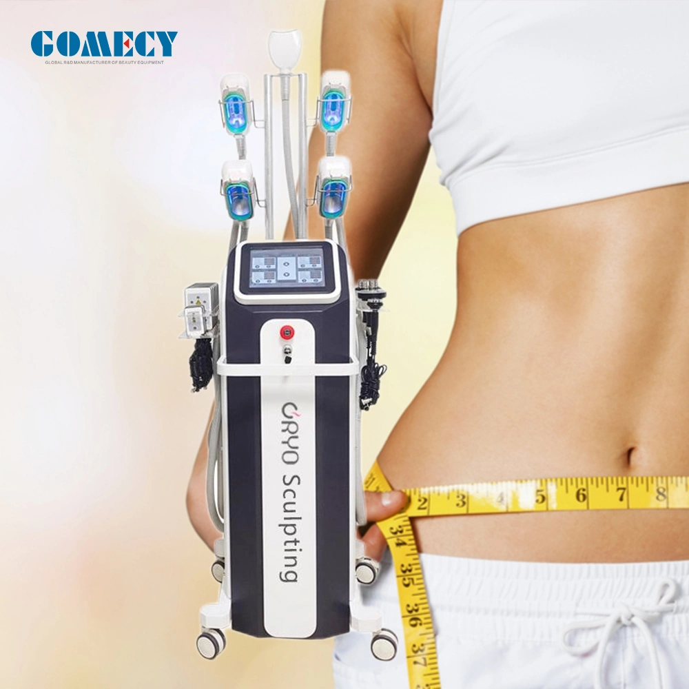 Élimination de la cellulite graisse abdomen lipolyse Contourage corps Cryoliolyse machine