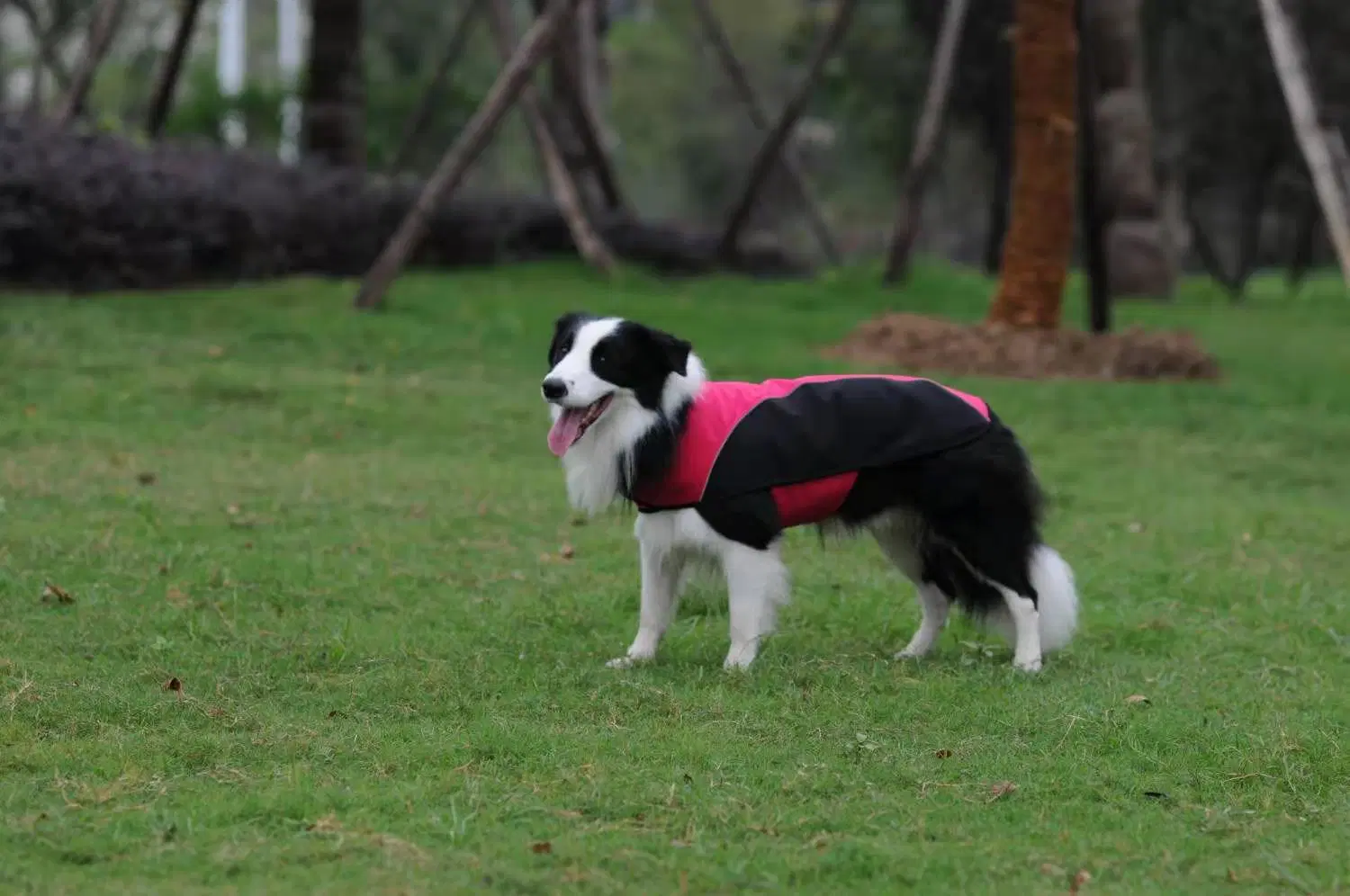 Coût de fabrication de vêtements personnalisés animal de compagnie portant des vêtements veste Softshell chien