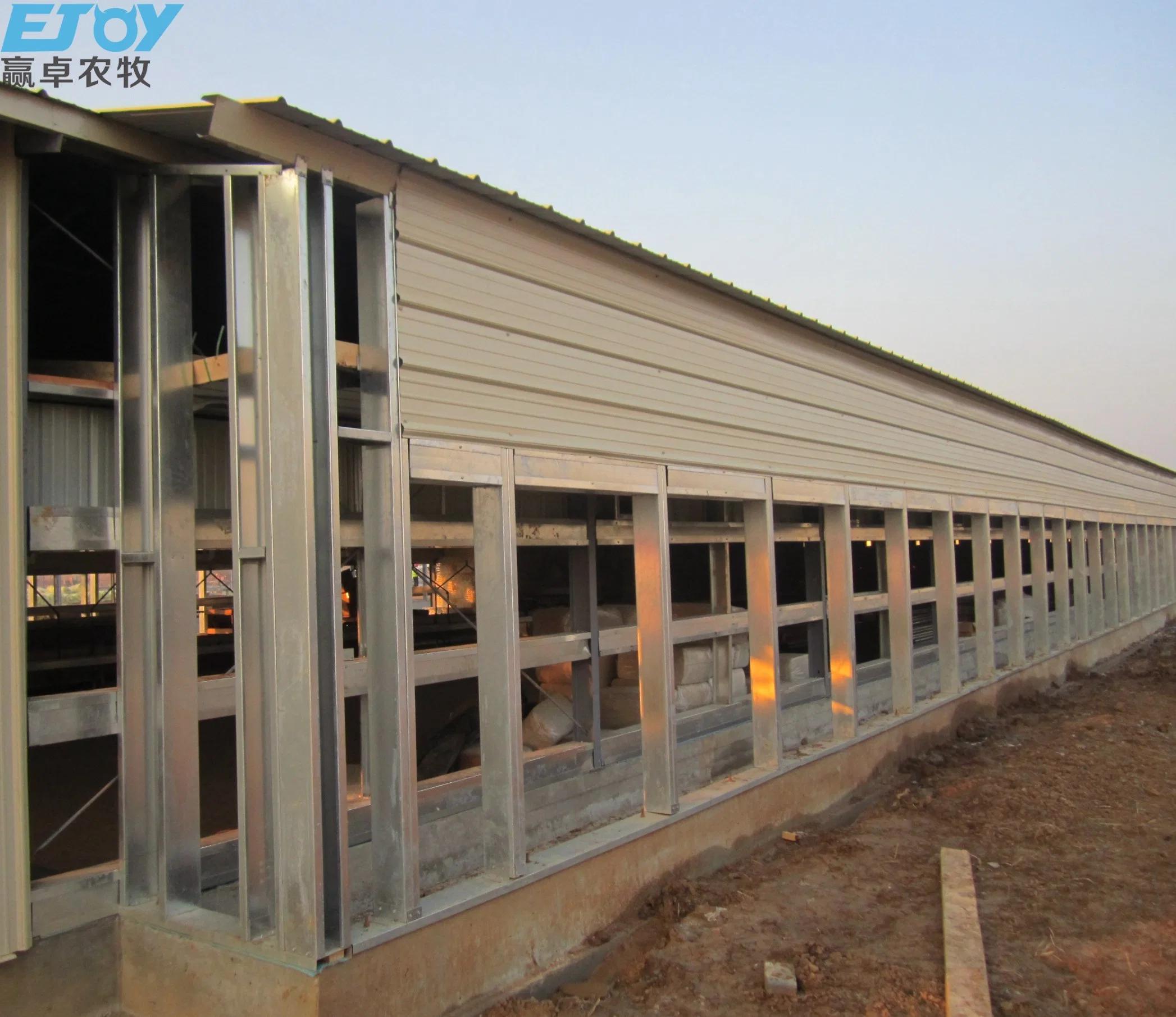 Moderne Poultry Farm House Constrcution tunnel ventilé Chicken House Design Pour couche d'œuf et gril