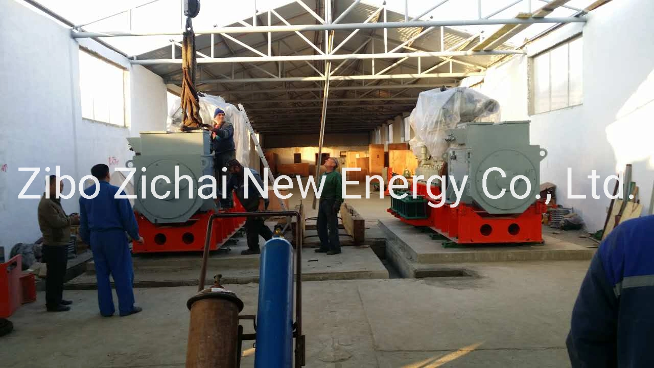 Syngas Turbine Generator 100-1000kw Gas Generator Set Syngas Equipment