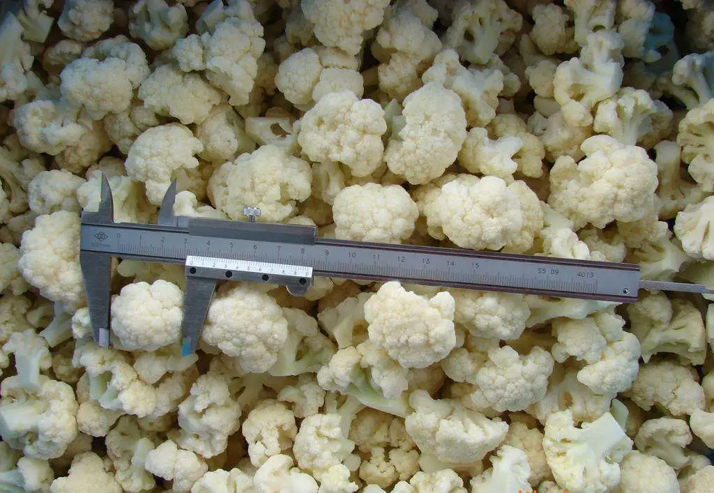 Snow White 3-5cm, 4-6cm IQF High quality/High cost performance Frozen Cauliflower Floret