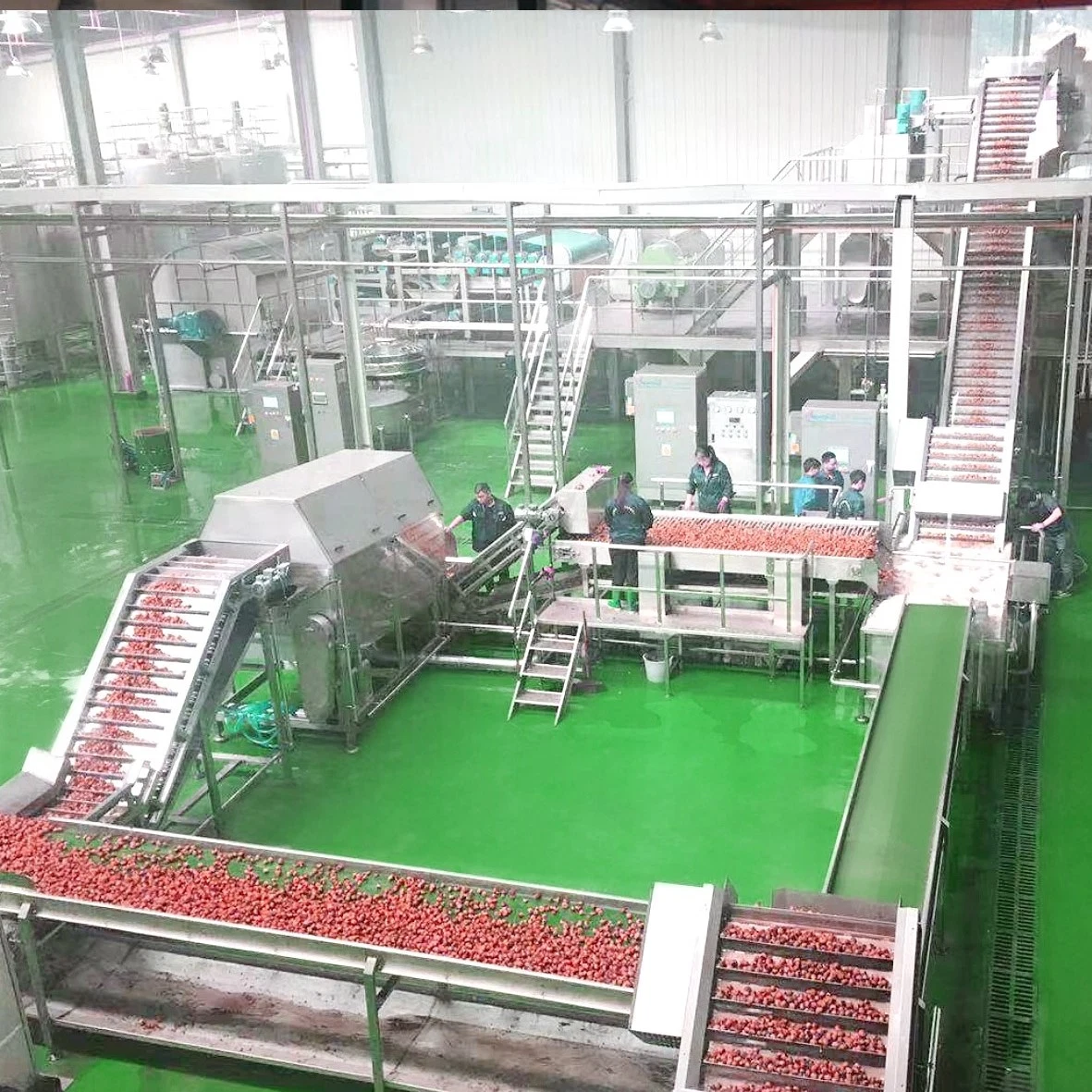 Fruit production equipment fruit elevator lifting machine