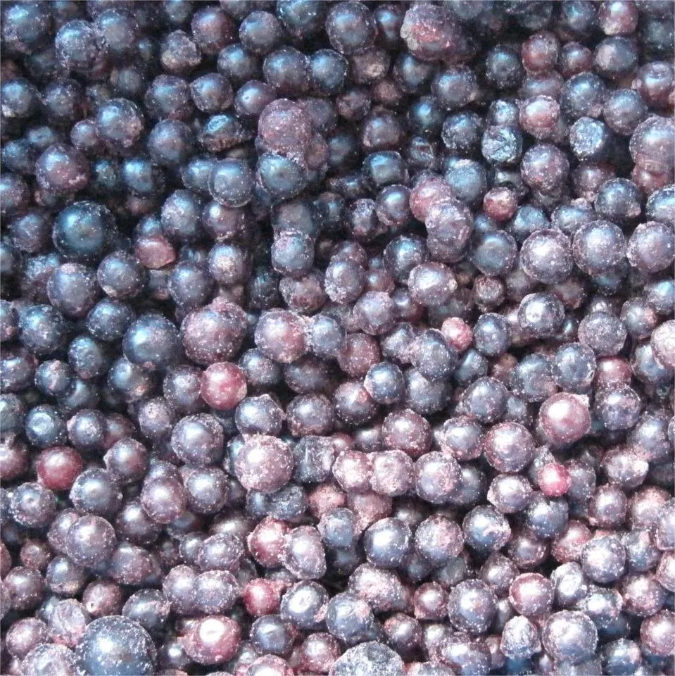 IQF Frozen Blueberry