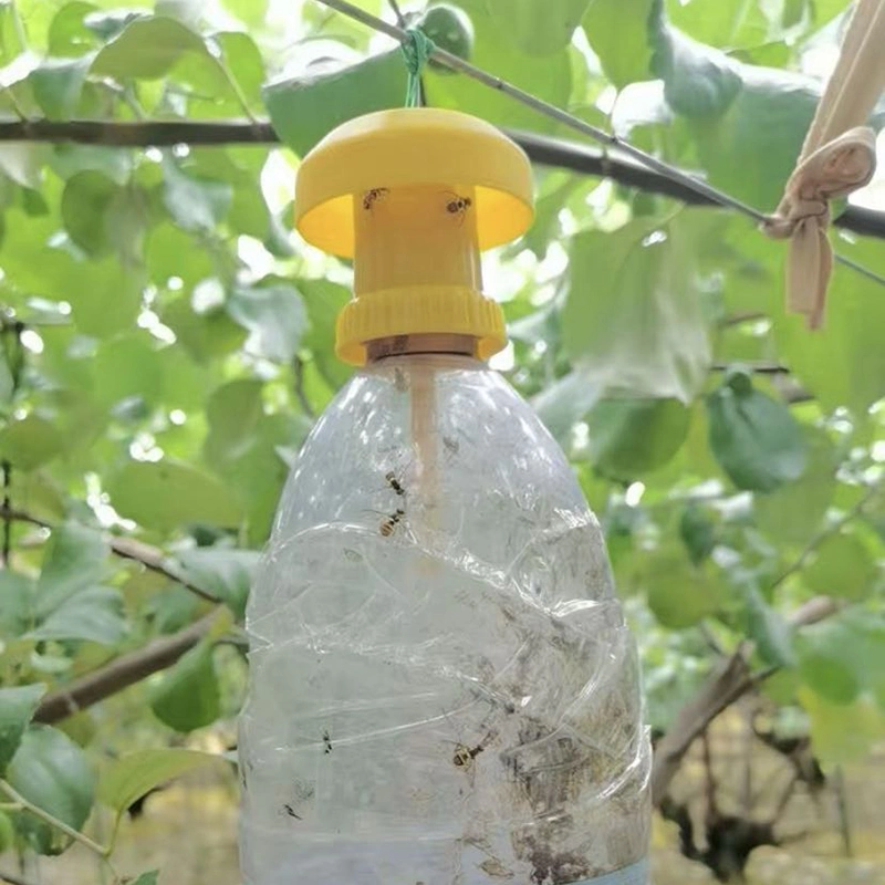 Mouche des fruits de pièges en plastique réutilisable Spdak Fly Trap Catcher le contrôle des insectes pour intérieur et extérieur