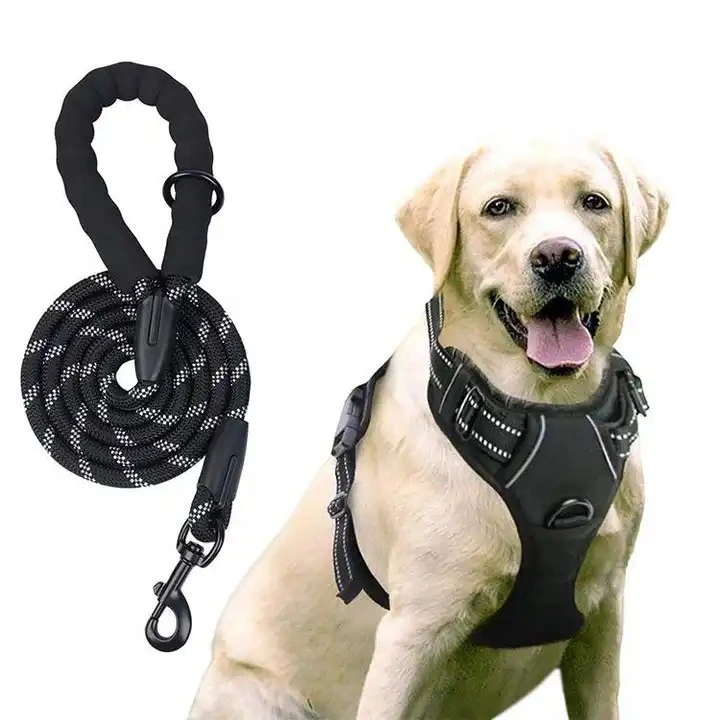 Nylon Tough Manufacturers Dog Leash Rope