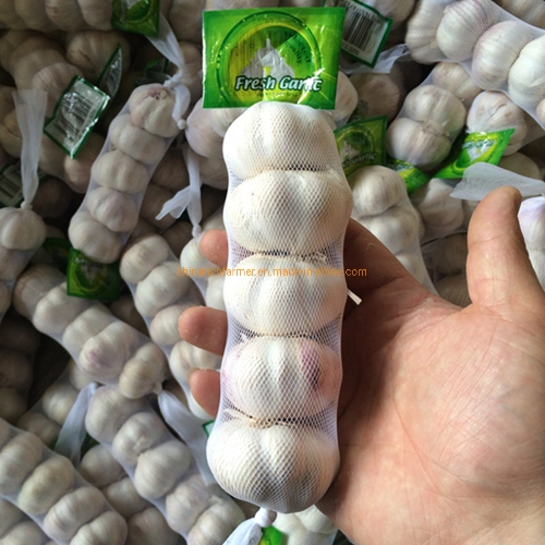 Cheapest China Fresh 3p Pure Normal White Garlic