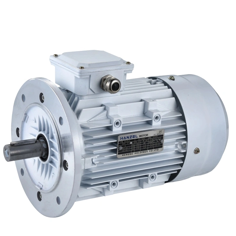 Y2 Three Phase Professional Factory Supply AC Worm Gear Motor