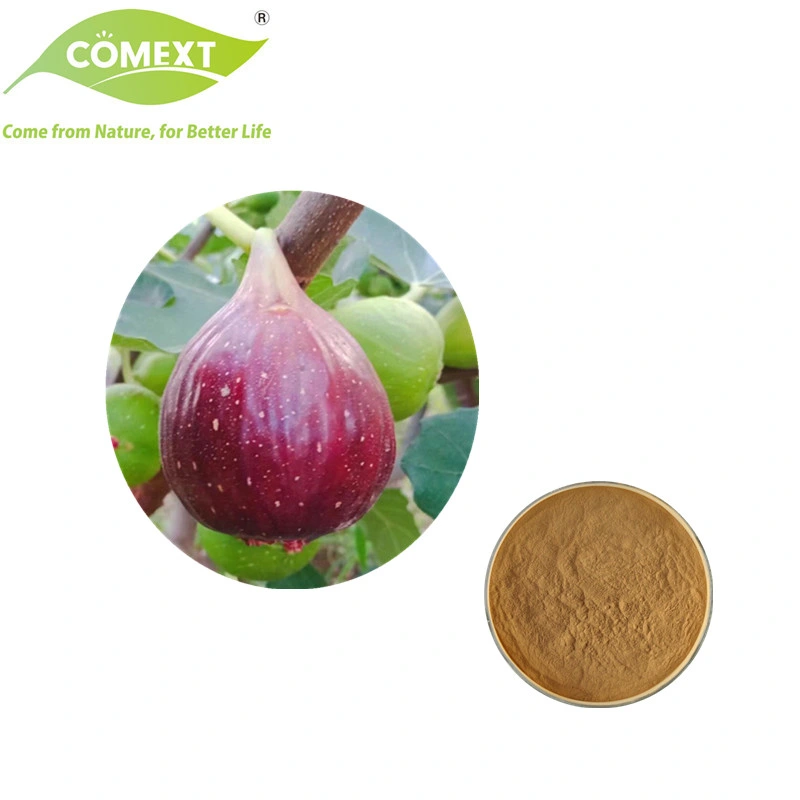 Comext Factory Natural 100% Health Product Plant Extracts 10: 1/20: 1/30: 1 Fig Extract