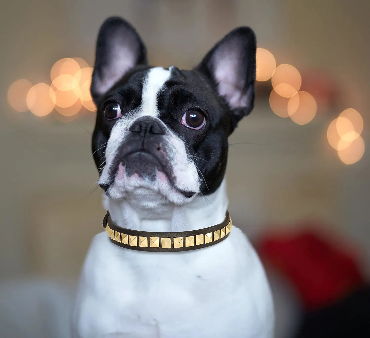 Collar de cuero con tachuelas para perros pequeños, cuello de lujo de perro suave