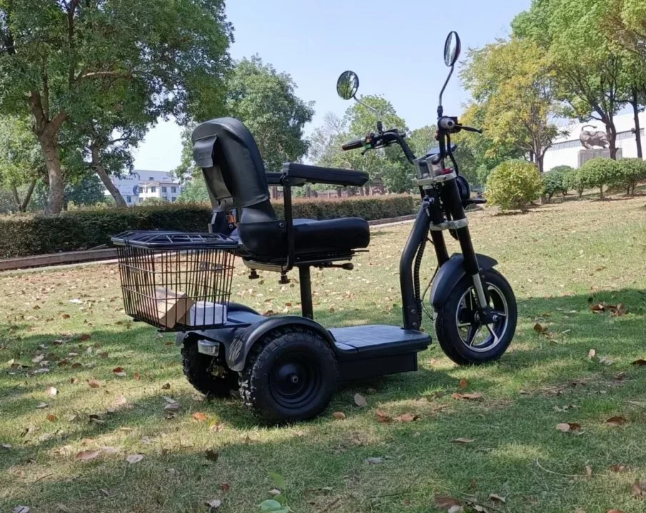 Commerce de gros 500W 48V 12Ah Tricycle de roue de la famille 3 vélo électrique Scooter pour adultes