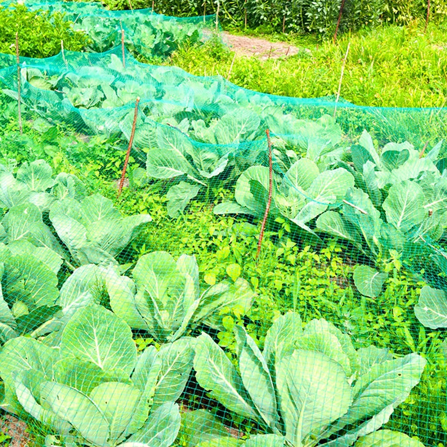 Compensación de jardín, reutilizable de Protección Vegetal de la compensación para la protección de verduras, frutas, plantas, flores, más gruesa, los cultivos de hortalizas de invernadero la escalada de la fruta Net Net