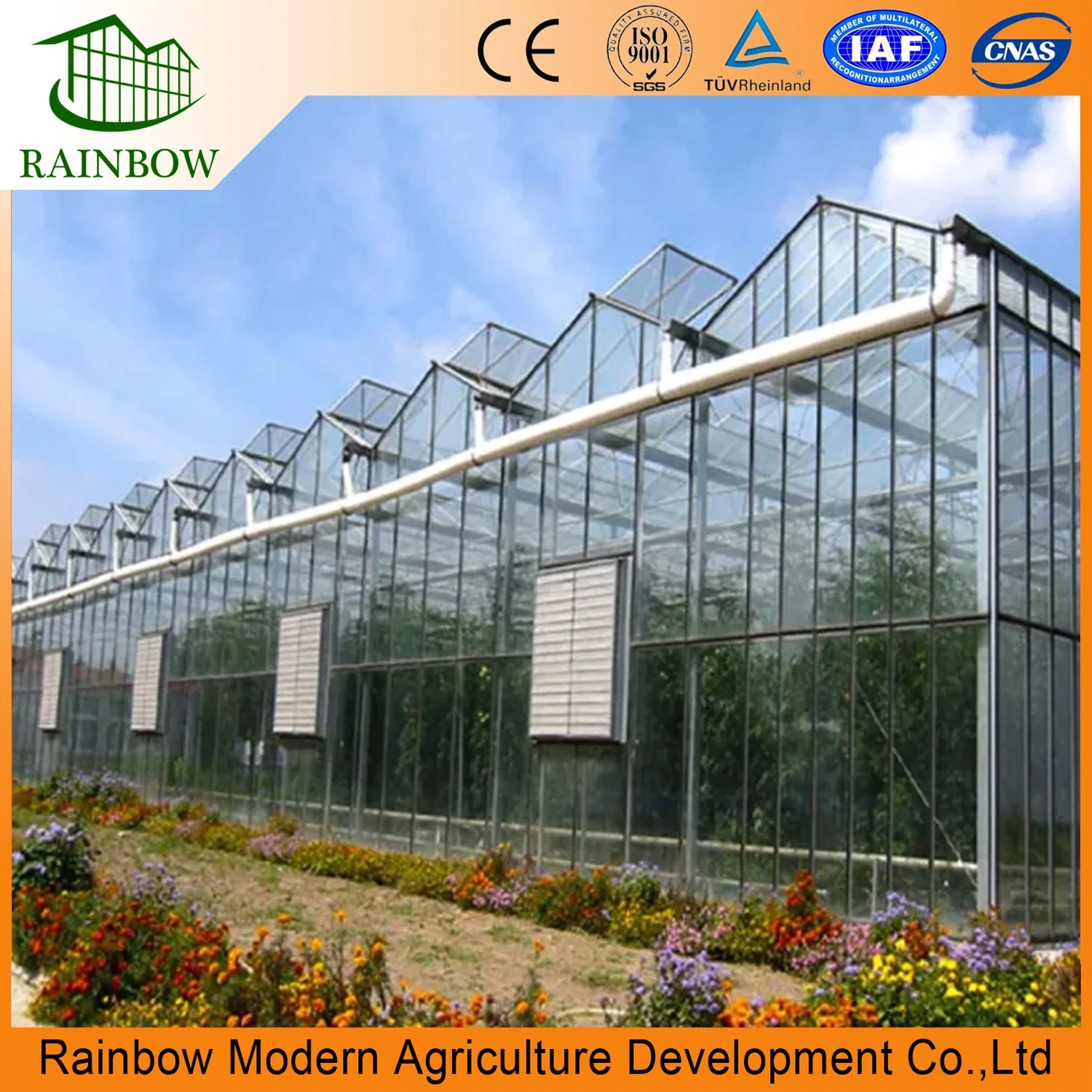 Agriculture Glass Hydroponics Vegetable Greenhouse