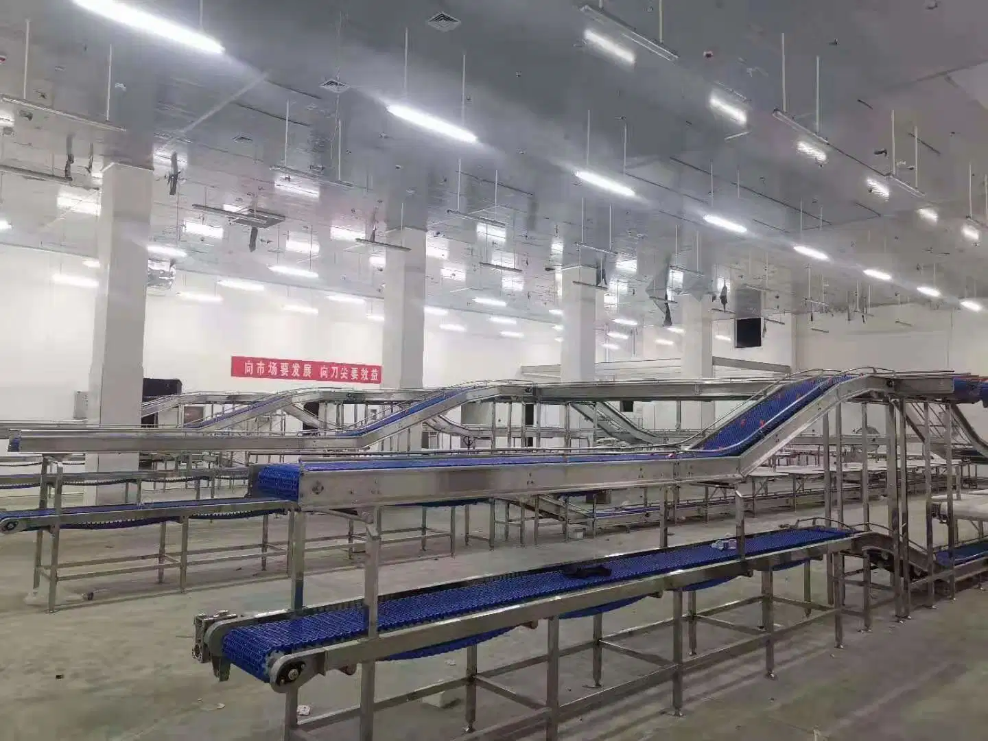 Meat Cutting Process Conveyor Belt Packing Line