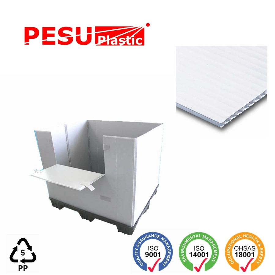 PP Corrugated Packaging Box for Shipping