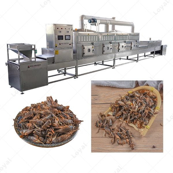 Black Soldier Fly Larvae Cricket Grasshopper Mealworm Insect Microwave Drying Sterilization Machine