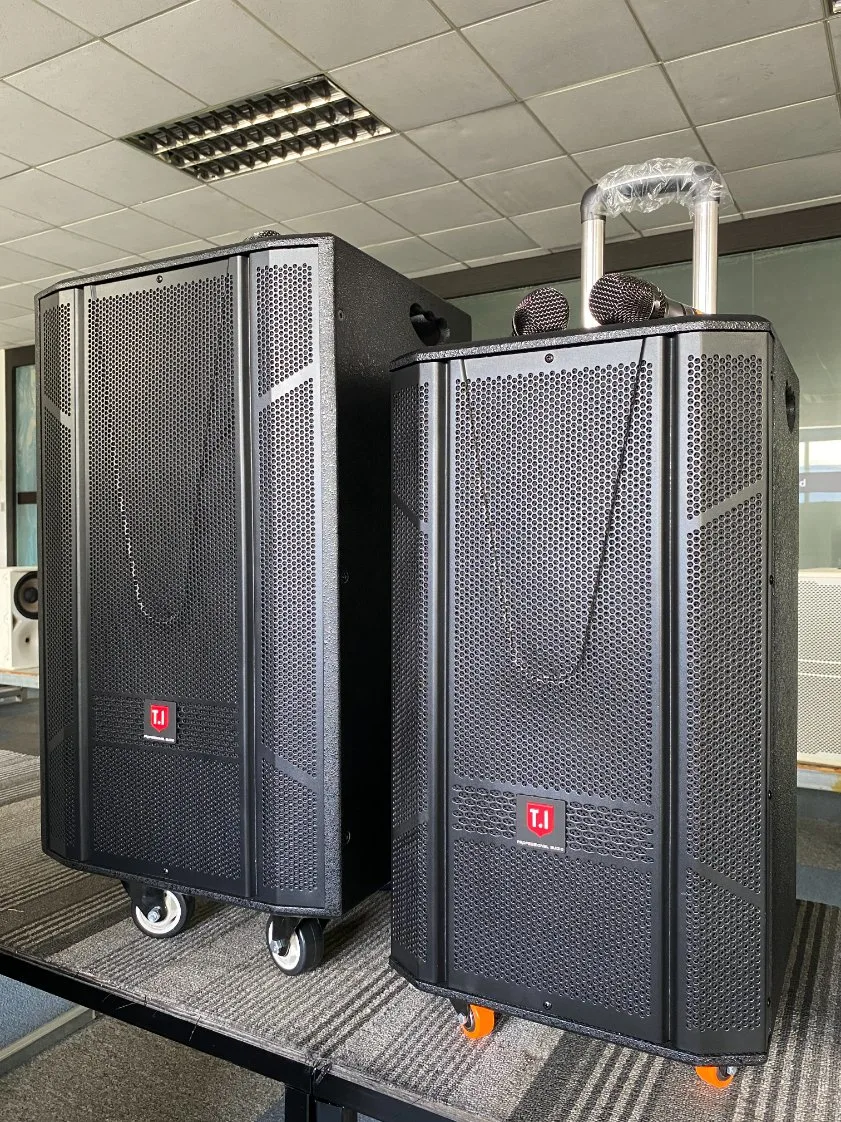 T. I pro Audio Professional Sound System Equipment 12 Zoll Bass-Lautsprecher Active Sound