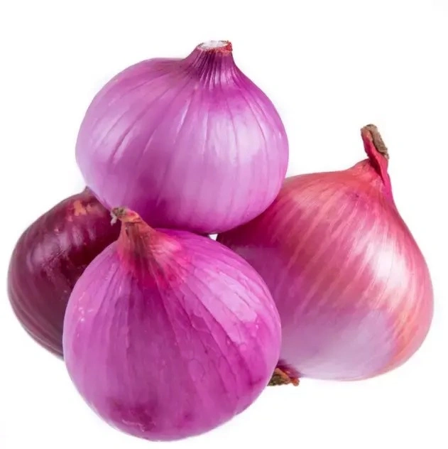 ISO Factory Supply Vegetable Powder Dehydrated Onion Powder Dried Red Onion Powder