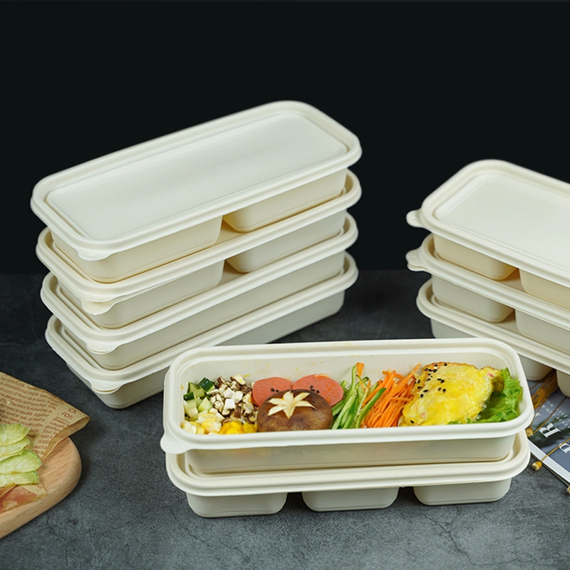 Almoço de cana de açúcar biodegradável - Bento Box com tampa